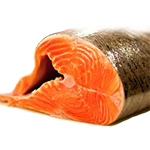 salmon150